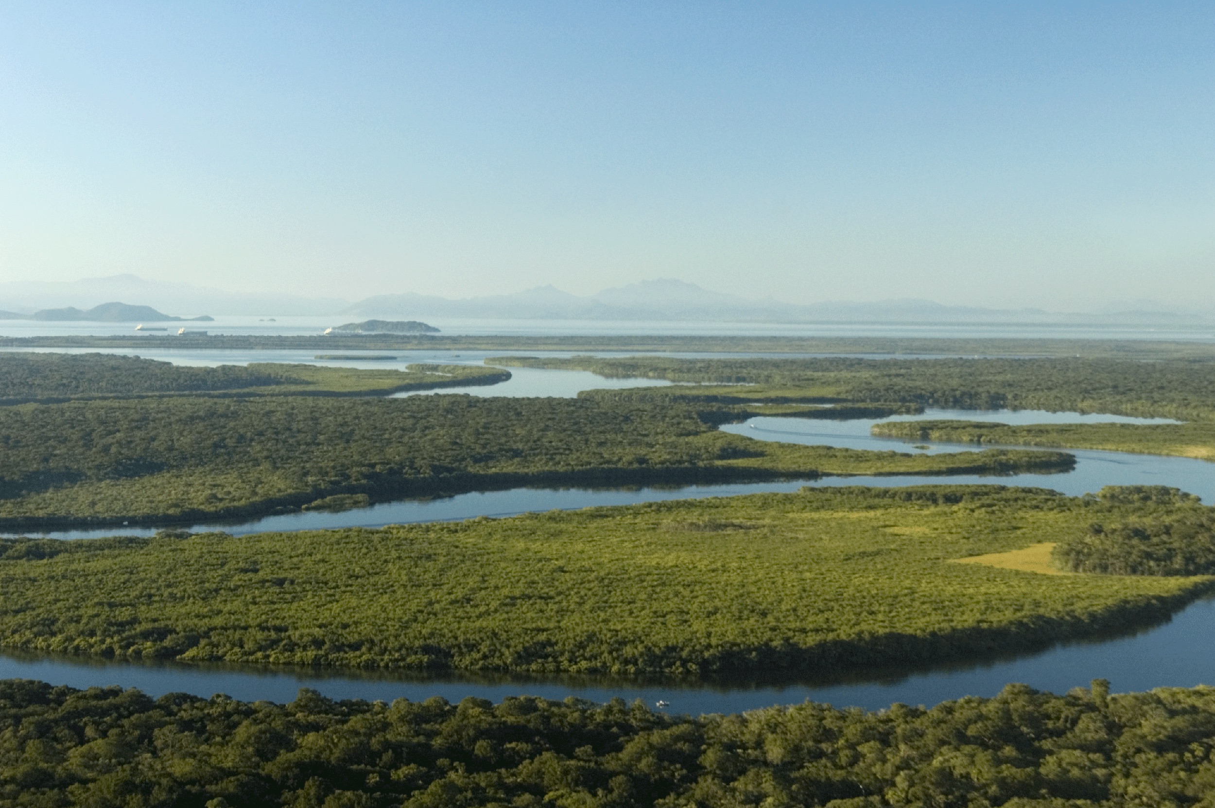 Paraná ICMS Ecológico — Brazil's First Ecological Fiscal Transfer (1991)