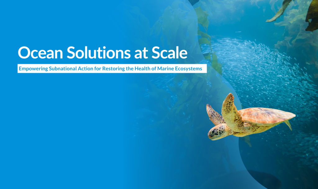 Ocean Solutions at Scale: Empowering Subnational Action for Restoring the Health of Marine Ecosystems
