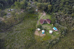 Cultivating Just Resilience: Shared management of the Paraná Metropolitan State Forest