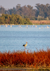 How Andalucia is aligning public finance with global goals