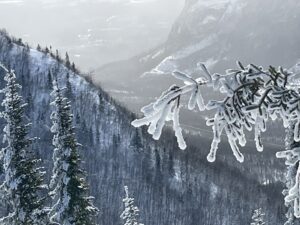 Québec’s Carbon Market: A Useful Economic Instrument to Finance Adaptation