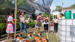 The case of Limaxtum: Food sovereignty and climate resilience of Totonac women in the State of Veracruz, Mexico