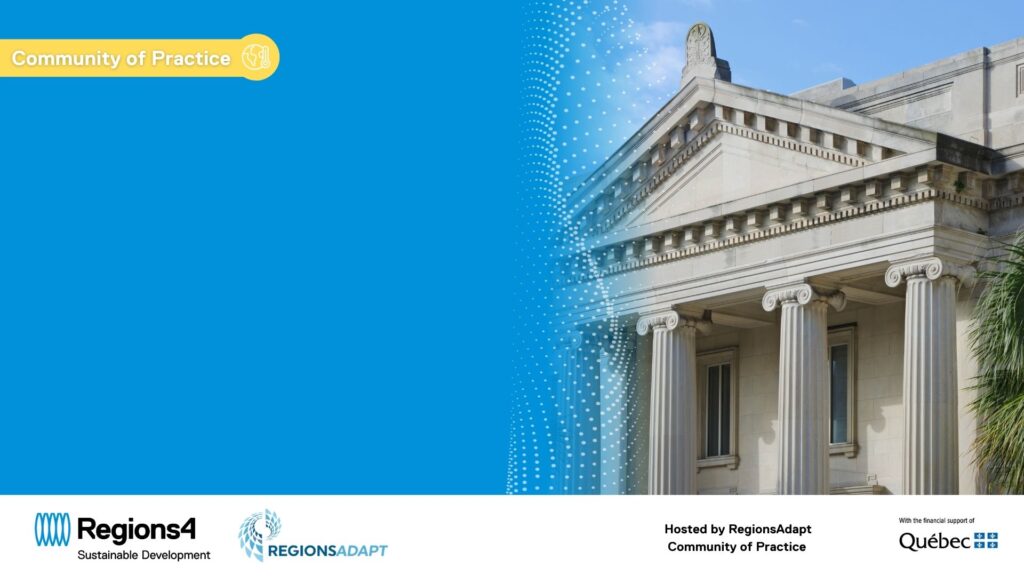 Subnational Perspective on Adaptation Finance