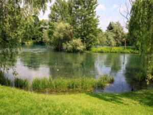 BioClima: Mobilizing Private Investment for Biodiversity in Lombardy