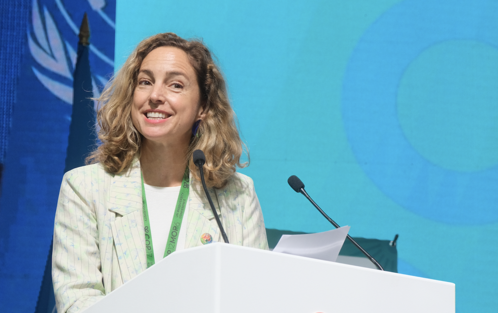 Regions4 launches Arboris at COP17 to connect regions and scale proven biodiversity and climate solutions